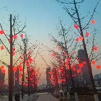 似水流年w