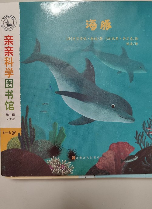海豚