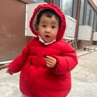 连紫