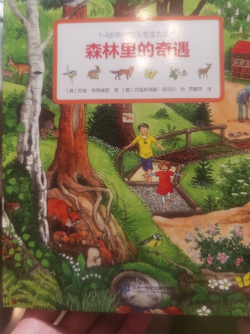 德國(guó)幼兒專注力培養(yǎng) 森林里的奇遇