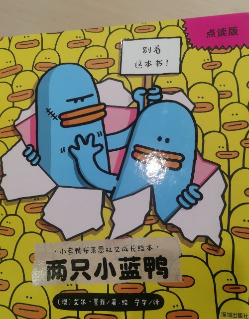 兩只小藍鴨