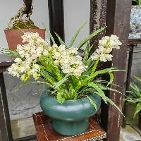悠悠211