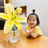 豬豬晗