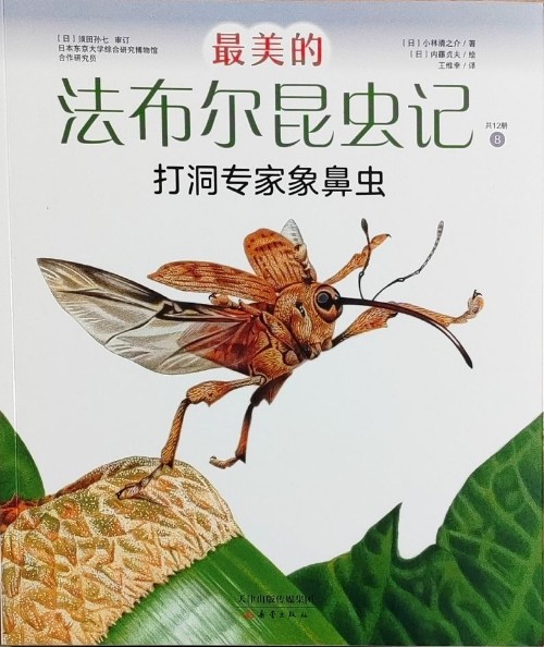 最美的法布尔昆虫记: 8.打洞专家象鼻虫