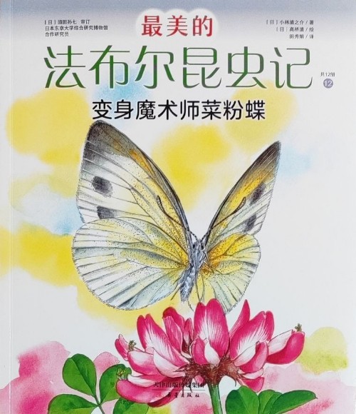 最美的法布尔昆虫记: 12.变身魔术师菜粉蝶
