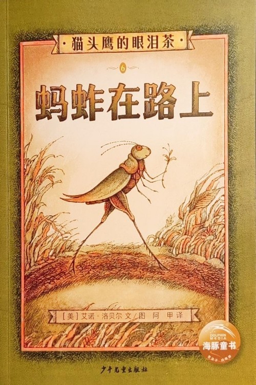 查看系列