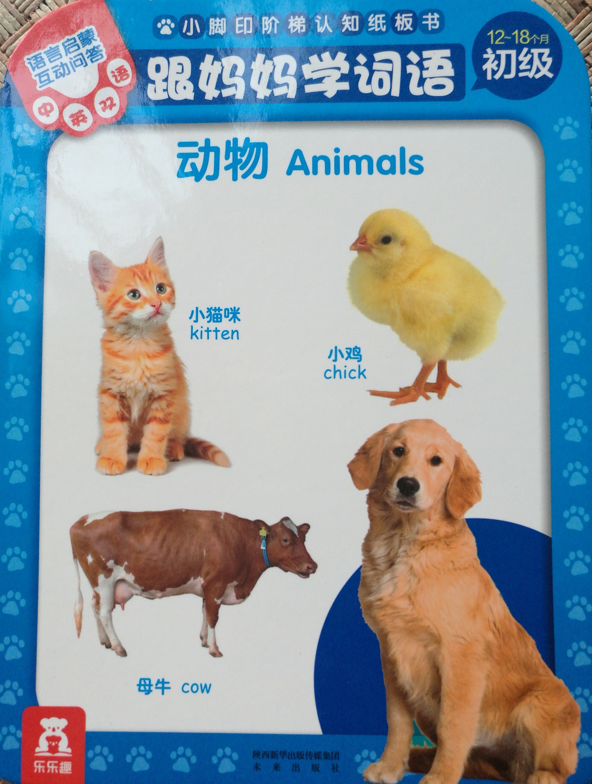 動物