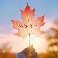 旺旺旺68