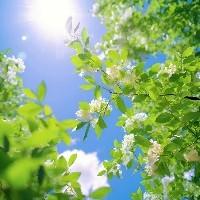 槐荫笔谈