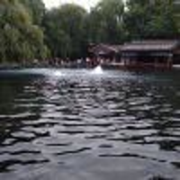 清輝月韻