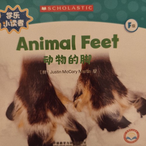 animal feet