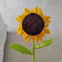 兩只小兔子