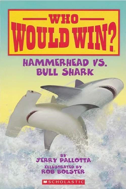 Hammerhead vs. Bull Shark