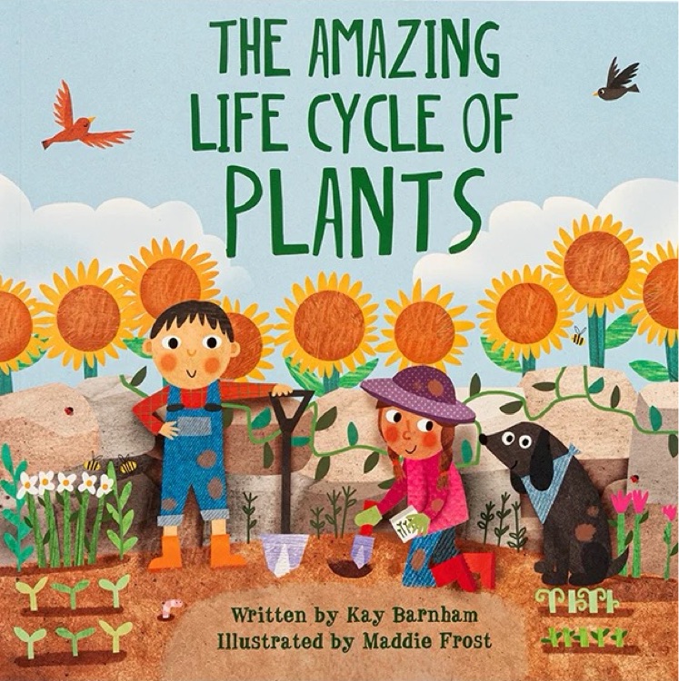 The Amazing Plant Life Cycle Story (Look and Wonder)