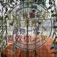 點(diǎn)點(diǎn)滴滴陪伴