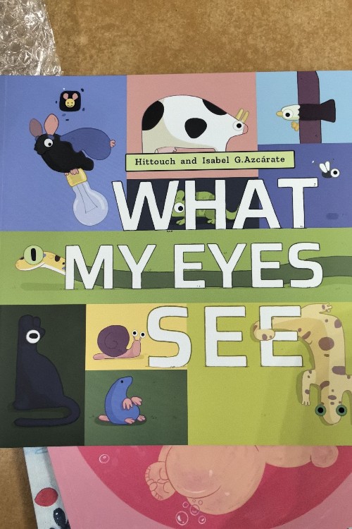 what my eyes see