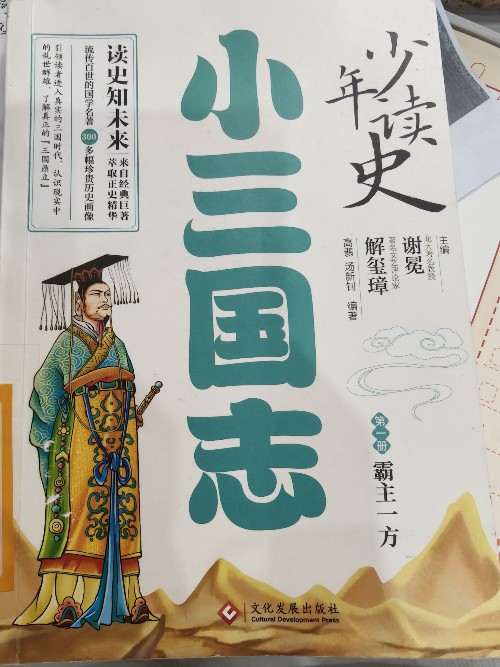 少年讀史小三國志霸主一方