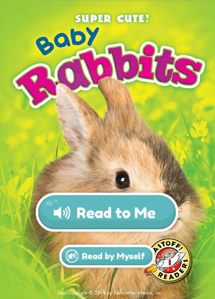 Baby Rabbits (Khan Kids Reading)