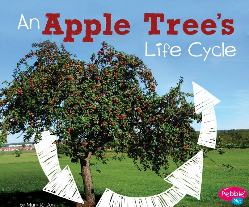 An Apple Tree's Life Cycle  (myOn)