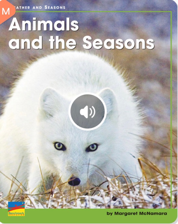 Animals and the Seasons