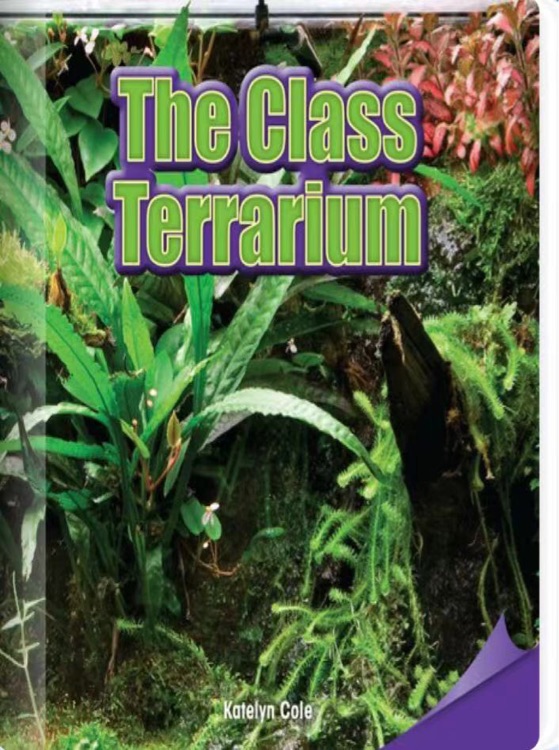 The Class Terrarium