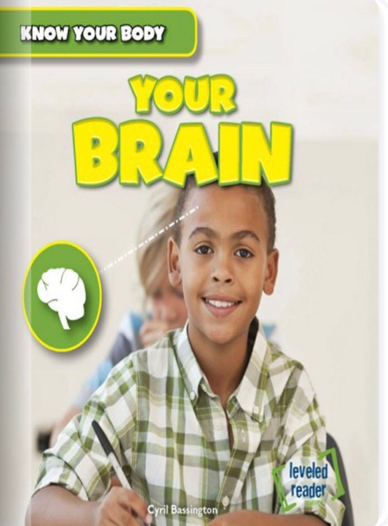 Your Brain