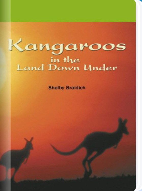 Kangaroos in the Land Down Under