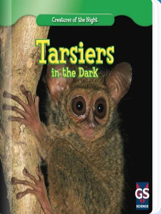 Tarsiers in the Dark