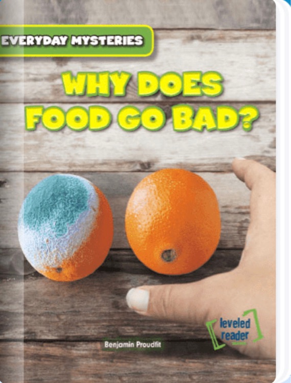 Why Does Food Go Bad?