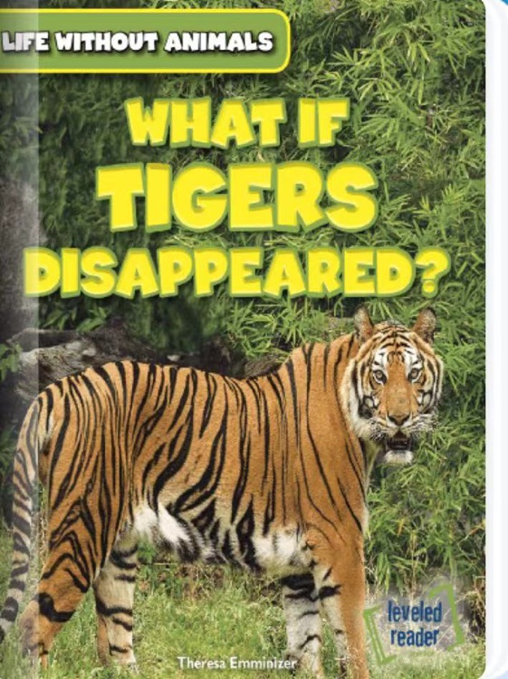 What If Tigers Disappeared?