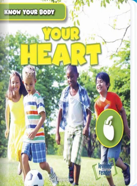 Your Heart