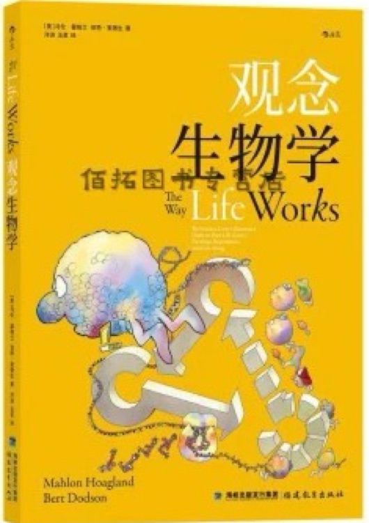 觀念生物學(xué)