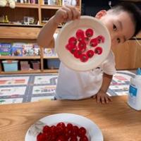 小桃記