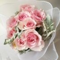 花花世界我不懂