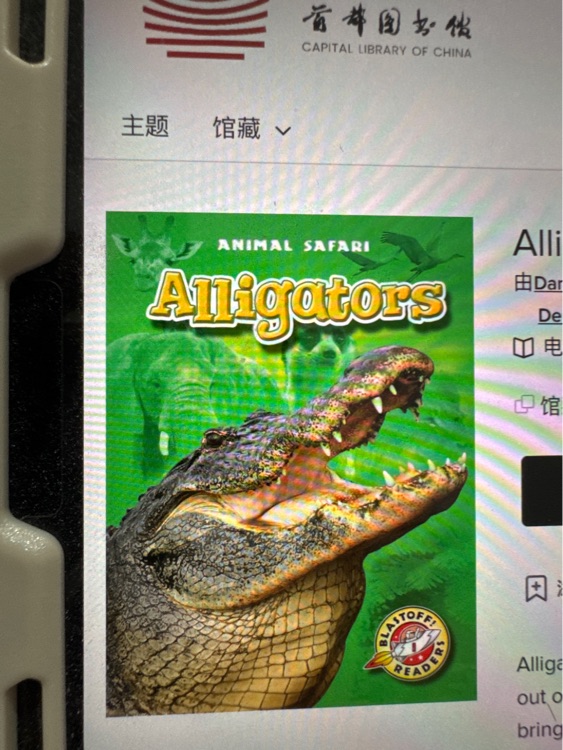 Alligators  Animal safari 97816189339