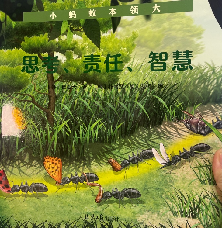 思考、責(zé)任、智慧
