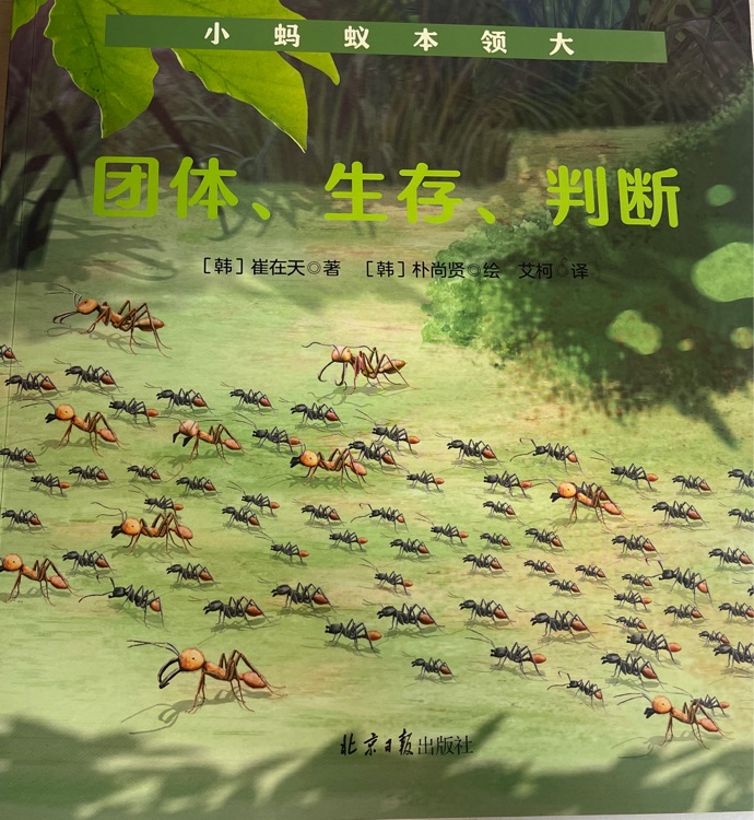 團體、生存、判斷