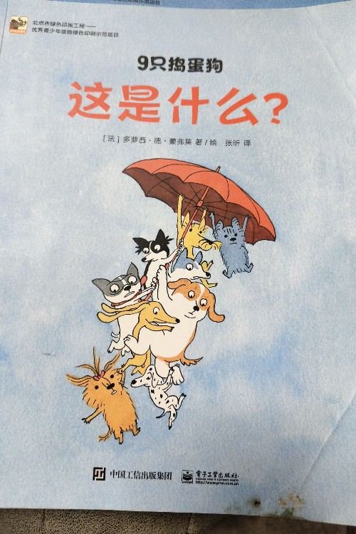這是什么?