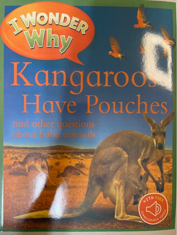 I Wonder Why Kangaroos Have Pouches