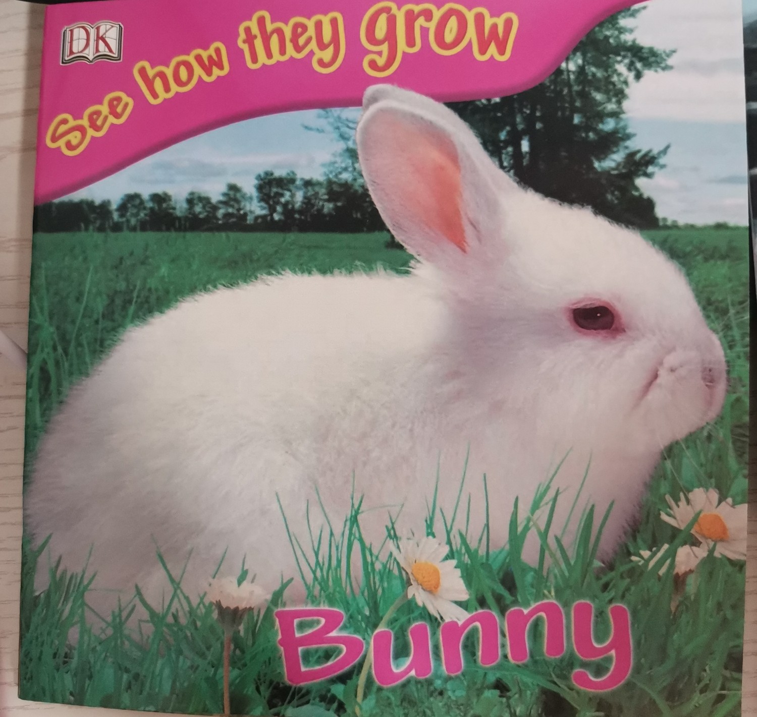 See how they grow-Bunny