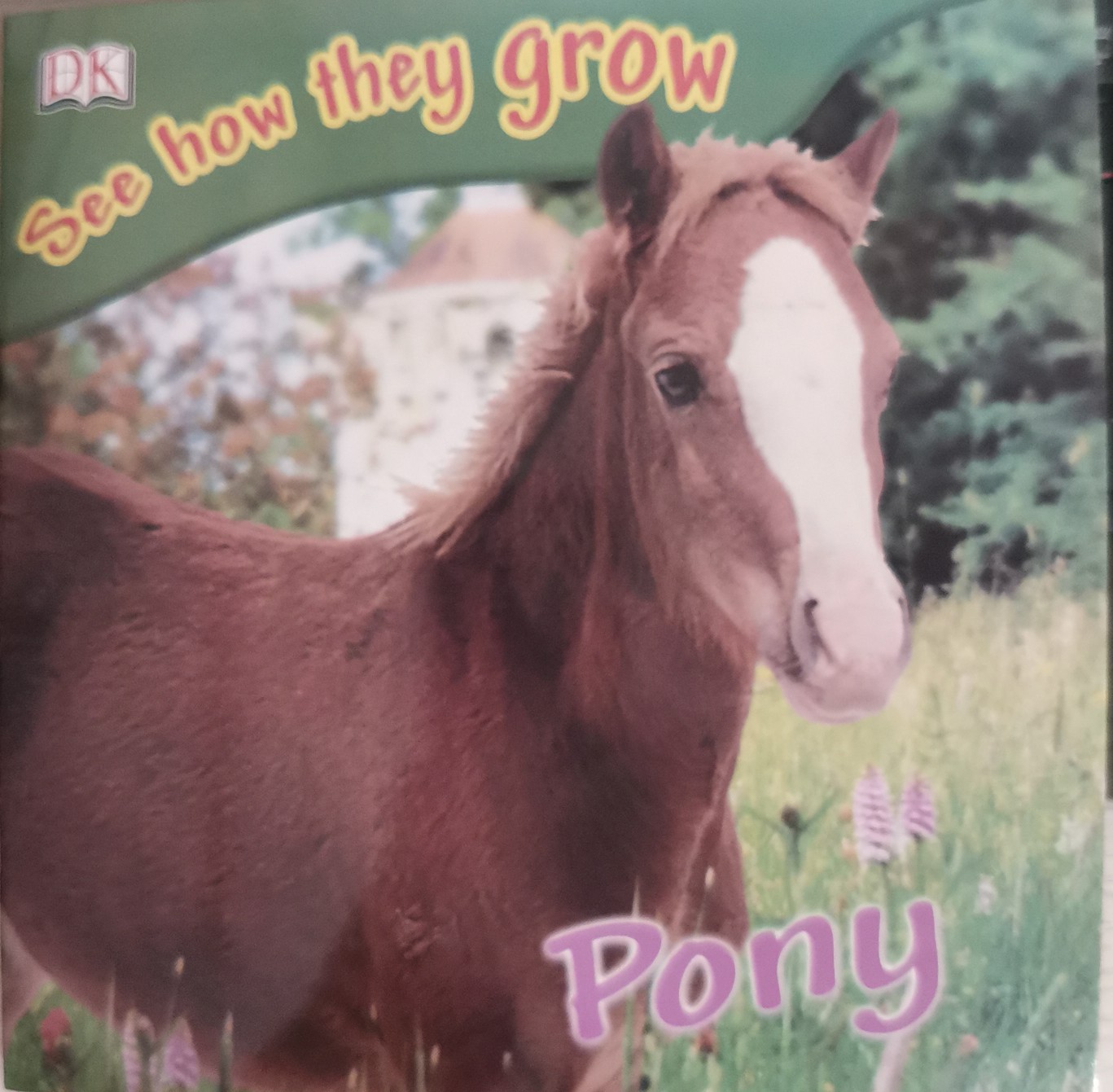 See how they grow-Pony