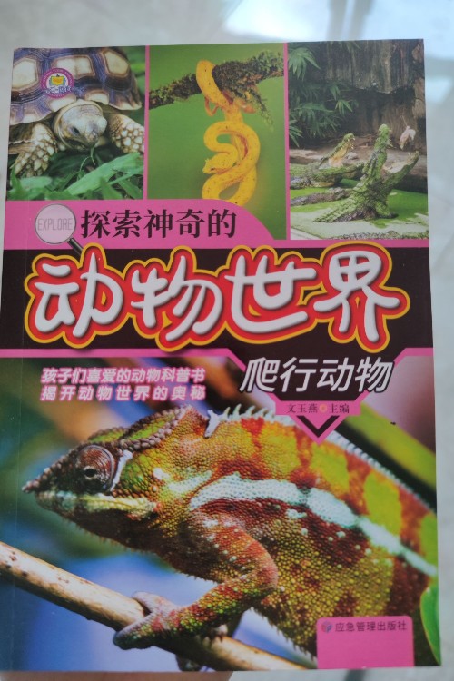 探索神奇的動物世界: 爬行動物