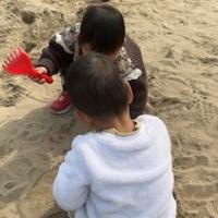 枝枝棵棵