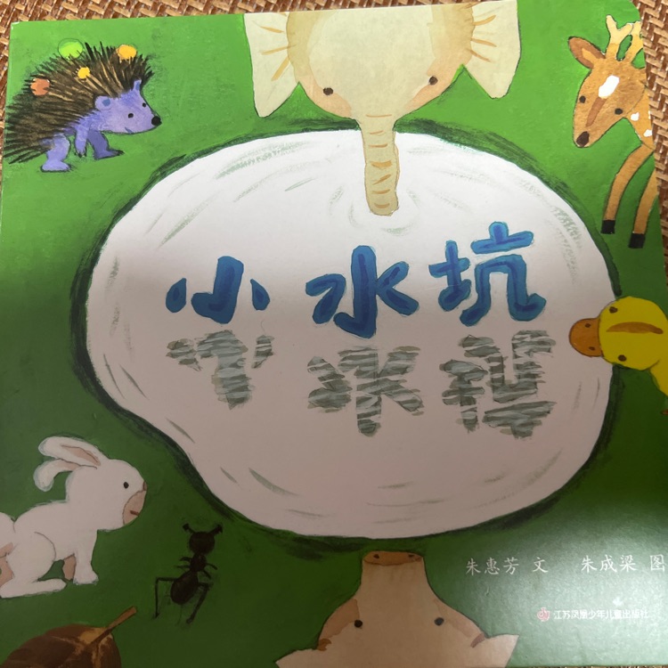 小水坑