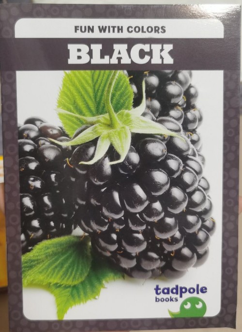 蝌蚪C black