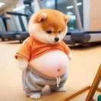 ????梅???