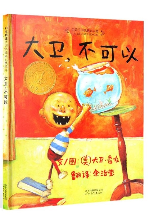 大卫,不可以