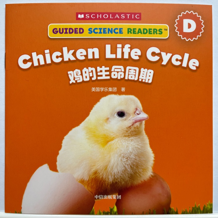 學(xué)樂(lè)小讀者英語(yǔ)分級(jí)閱讀: 科普系列D級(jí) Chicken life cycle