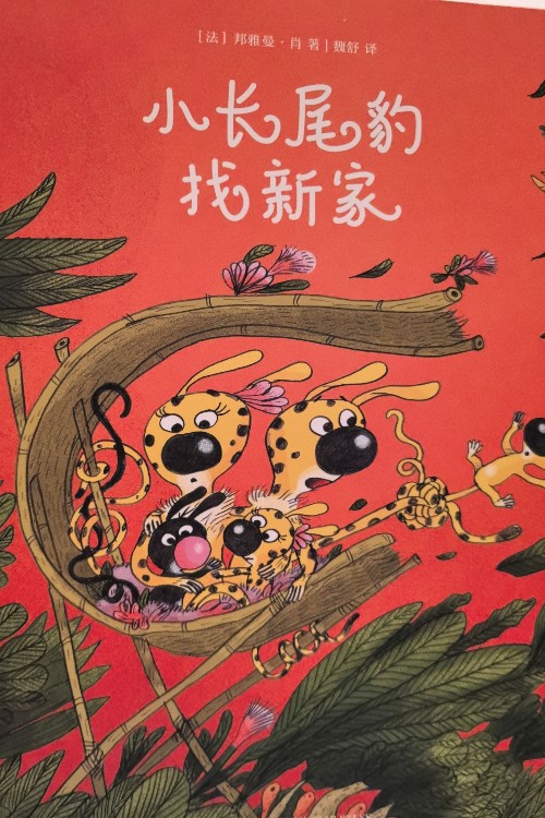 小長尾豹找新家