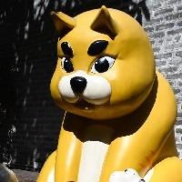 柳橙汁2020